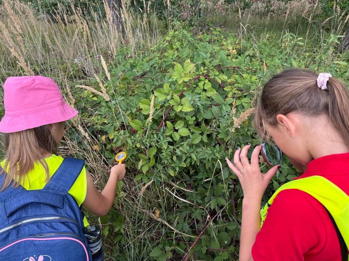 795428260 1039912918916128 2789722034908232971 n